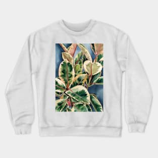 Ficus Plant 1 Crewneck Sweatshirt